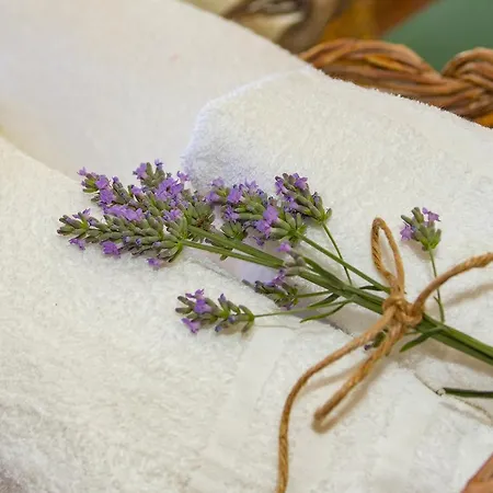 Bed & Breakfast La Bicicletta Rossa *
